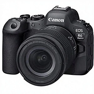 cameras