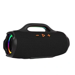 speaker