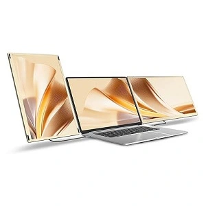 moniter